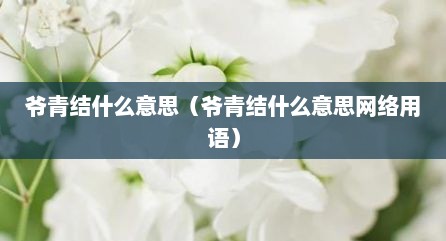 爷青结什么意思（爷青结什么意思网络用语）