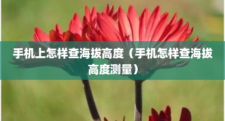 手机上怎样查海拔高度（手机怎样查海拔高度测量）