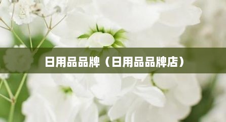 日用品品牌（日用品品牌店）