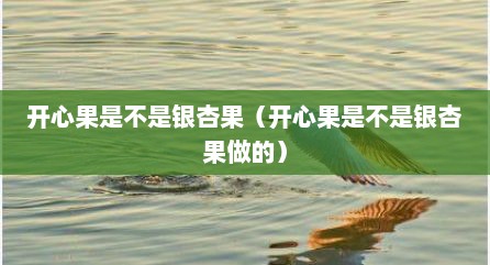 开心果是不是银杏果（开心果是不是银杏果做的）