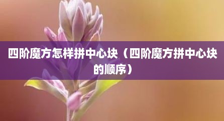 四阶魔方怎样拼中心块（四阶魔方拼中心块的顺序）