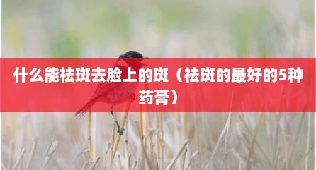 什么能祛斑去脸上的斑（祛斑的最好的5种药膏）