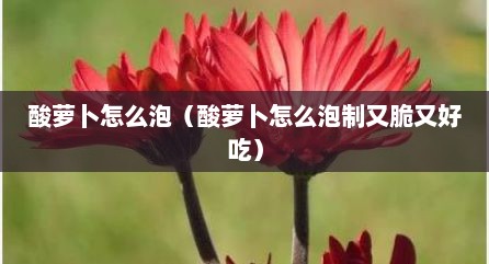 酸萝卜怎么泡（酸萝卜怎么泡制又脆又好吃）