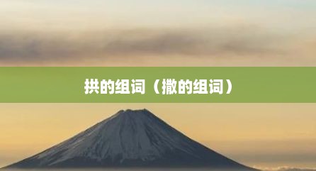 拱的组词（撒的组词）