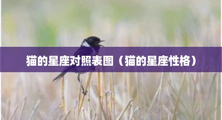 猫的星座对照表图（猫的星座性格）