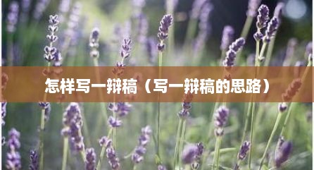 怎样写一辩稿（写一辩稿的思路）