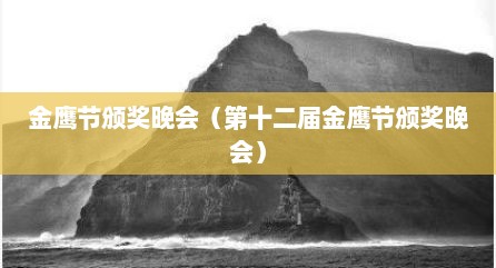 金鹰节颁奖晚会（第十二届金鹰节颁奖晚会）