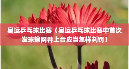 奥运乒乓球比赛（奥运乒乓球比赛中首次发球擦网并上台应当怎样判罚）