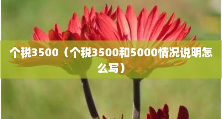 个税3500（个税3500和5000情况说明怎么写）