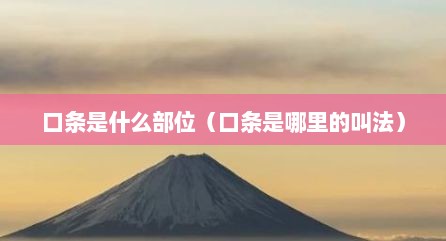 口条是什么部位（口条是哪里的叫法）
