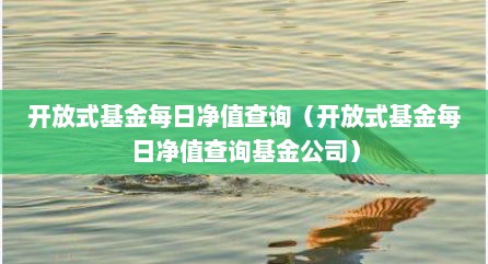 开放式基金每日净值查询（开放式基金每日净值查询基金公司）