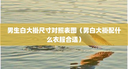 男生白大褂尺寸对照表图（男白大褂配什么衣服合适）