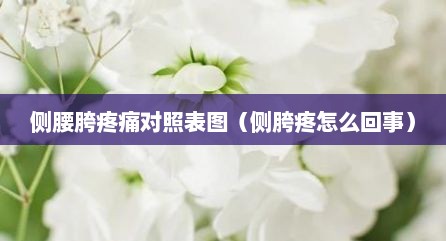 侧腰胯疼痛对照表图（侧胯疼怎么回事）