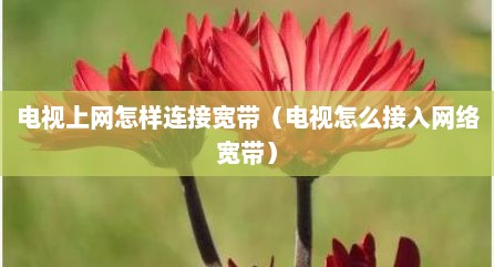 电视上网怎样连接宽带（电视怎么接入网络宽带）