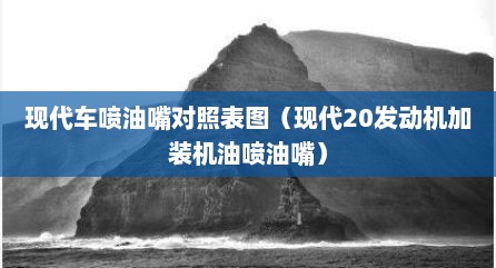 现代车喷油嘴对照表图（现代20发动机加装机油喷油嘴）