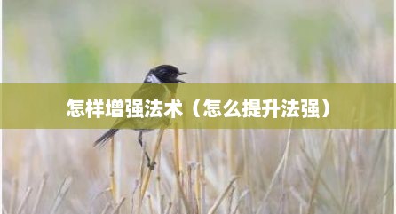 怎样增强法术（怎么提升法强）
