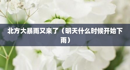 北方大暴雨文莱予（明天什么时候开始下雨）