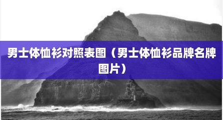 男士体恤衫对照表图（男士体恤衫品牌名牌图片）