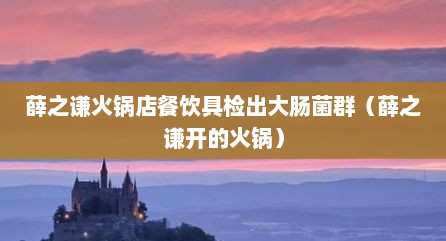 薛之谦火锅店餐饮具检出大肠菌群（薛之谦开的火锅）