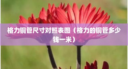 格力铜管尺寸对照表图（格力的铜管多少钱一米）