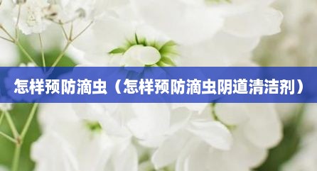 怎样预防滴虫（怎样预防滴虫阴道清洁剂）