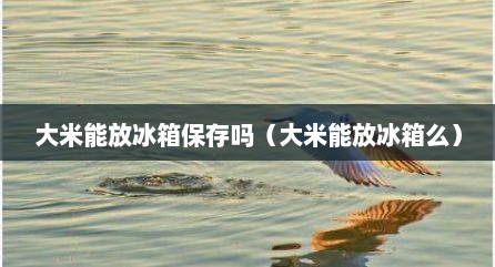 大米能放冰箱保存吗（大米能放冰箱么）