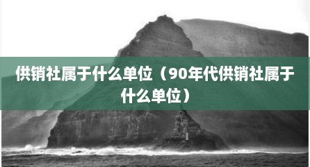 供销社属于什么单位（90年代供销社属于什么单位）