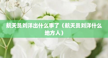航天员刘洋出什么事了（航天员刘洋什么地方人）