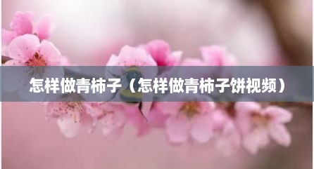 怎样做青柿子（怎样做青柿子饼视频）