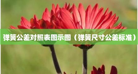 弹簧公差对照表图示图（弹簧尺寸公差标准）