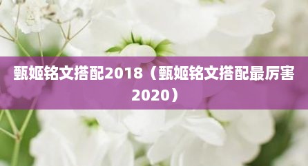 甄姬铭文搭配2018（甄姬铭文搭配最厉害2020）