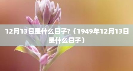 12月13日是什么日子?（1949年12月13日是什么日子）