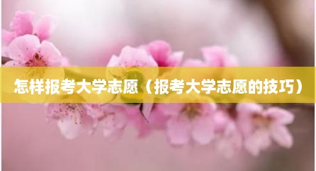 怎样报考大学志愿（报考大学志愿的技巧）