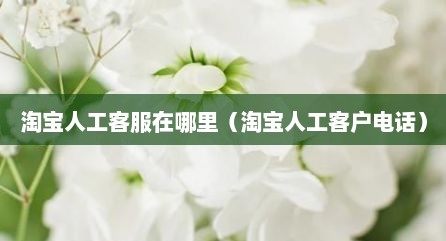 淘宝人工客服在哪里（淘宝人工客户电话）