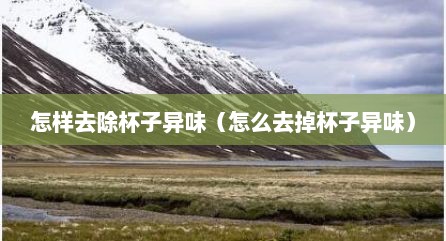 怎样去除杯子异味（怎么去掉杯子异味）