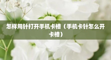怎样用针打开手机卡槽（手机卡针怎么开卡槽）