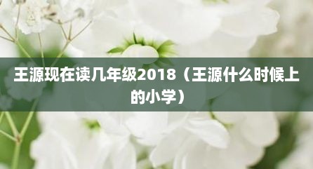 王源现在读几年级2018（王源什么时候上的小学）