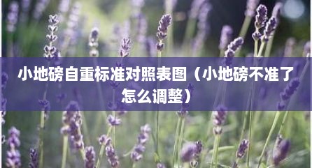 小地磅自重标准对照表图（小地磅不准了怎么调整）