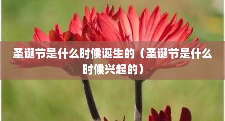 圣诞节是什么时候诞生的（圣诞节是什么时候兴起的）
