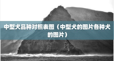 中型犬品种对照表图（中型犬的图片各种犬的图片）