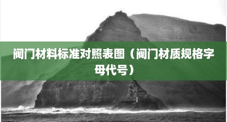 阀门材料标准对照表图（阀门材质规格字母代号）