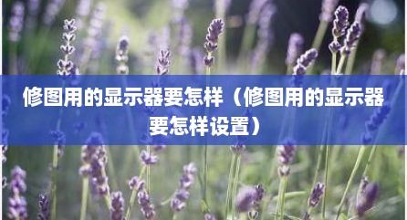 修图用的显示器要怎样（修图用的显示器要怎样设置）