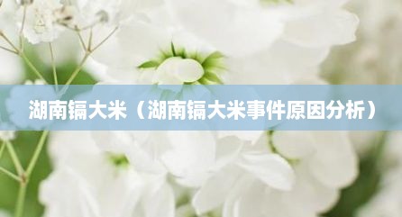 湖南镉大米（湖南镉大米事件原因分析）