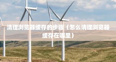 清理浏览器缓存的步骤（怎么清理浏览器缓存在哪里）