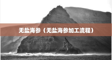 无盐海参（无盐海参加工流程）