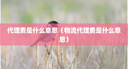代理费是什么意思（物流代理费是什么意思）