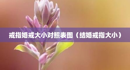 戒指婚戒大小对照表图（结婚戒指大小）