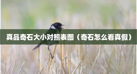 真品奇石大小对照表图（奇石怎么看真假）