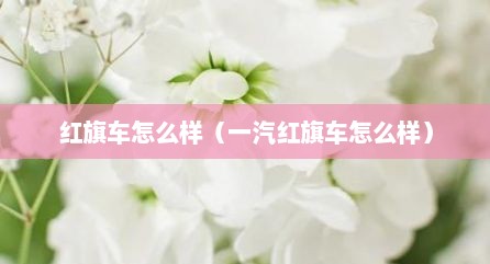 红旗车怎么样（一汽红旗车怎么样）