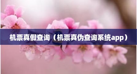 机票真假查询（机票真伪查询系统app）